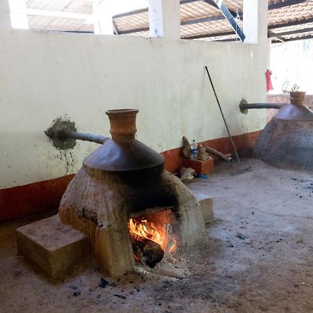 Mangaal Farmstay Goa Vichondrem Ngoại thất bức ảnh