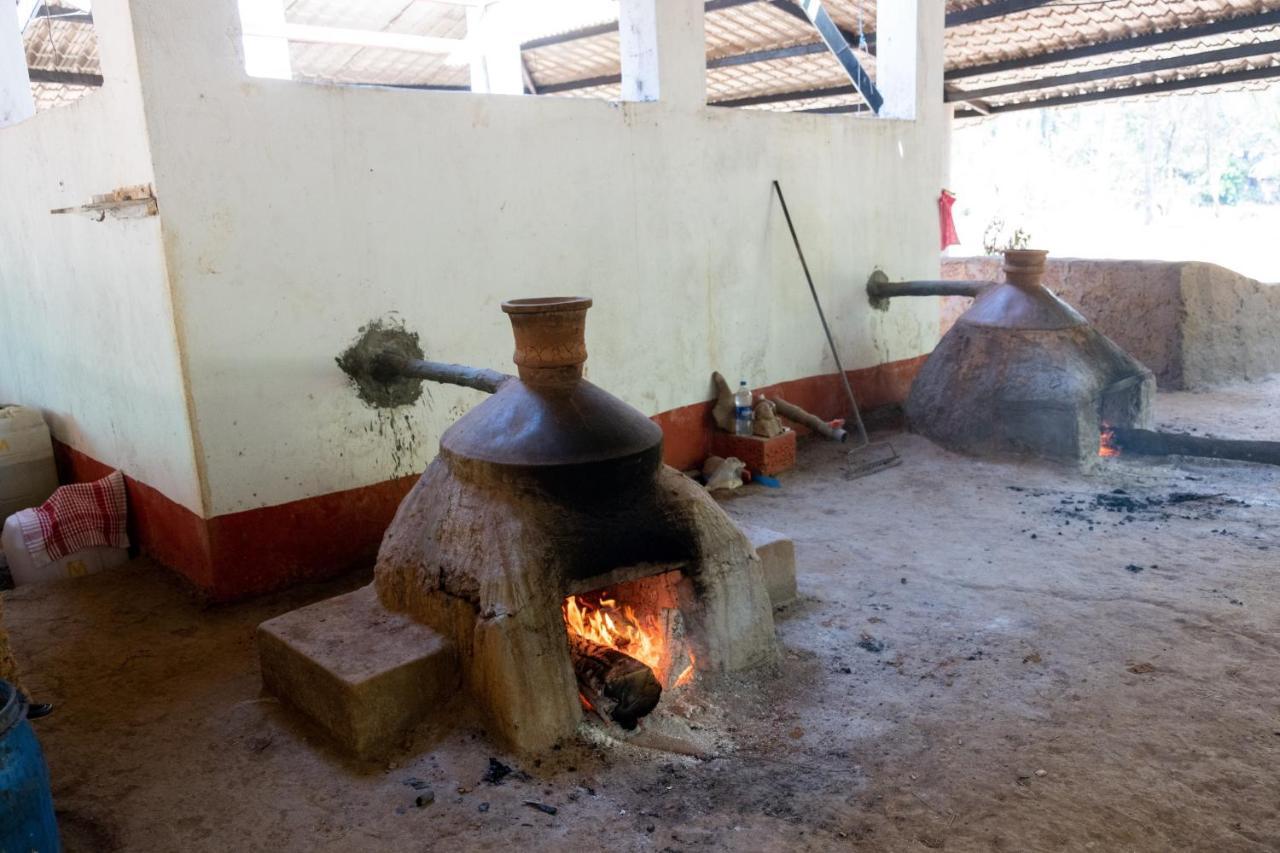Mangaal Farmstay Goa Vichondrem Ngoại thất bức ảnh