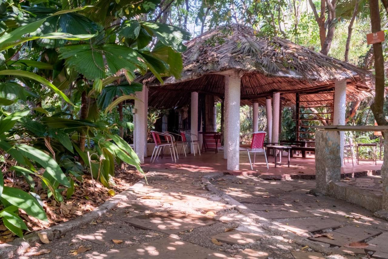 Mangaal Farmstay Goa Vichondrem Ngoại thất bức ảnh