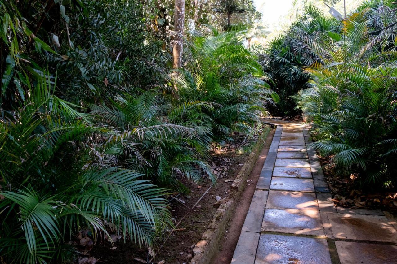 Mangaal Farmstay Goa Vichondrem Ngoại thất bức ảnh