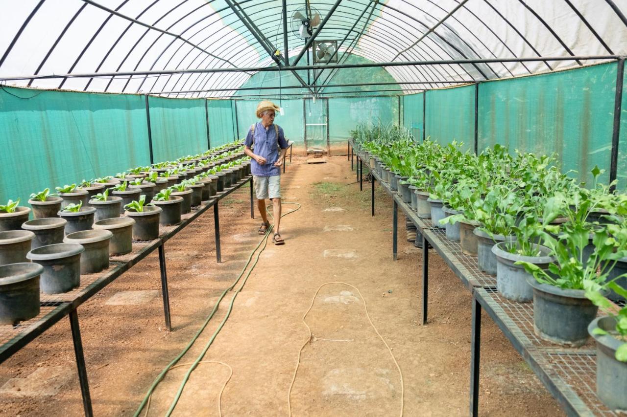 Mangaal Farmstay Goa Vichondrem Ngoại thất bức ảnh