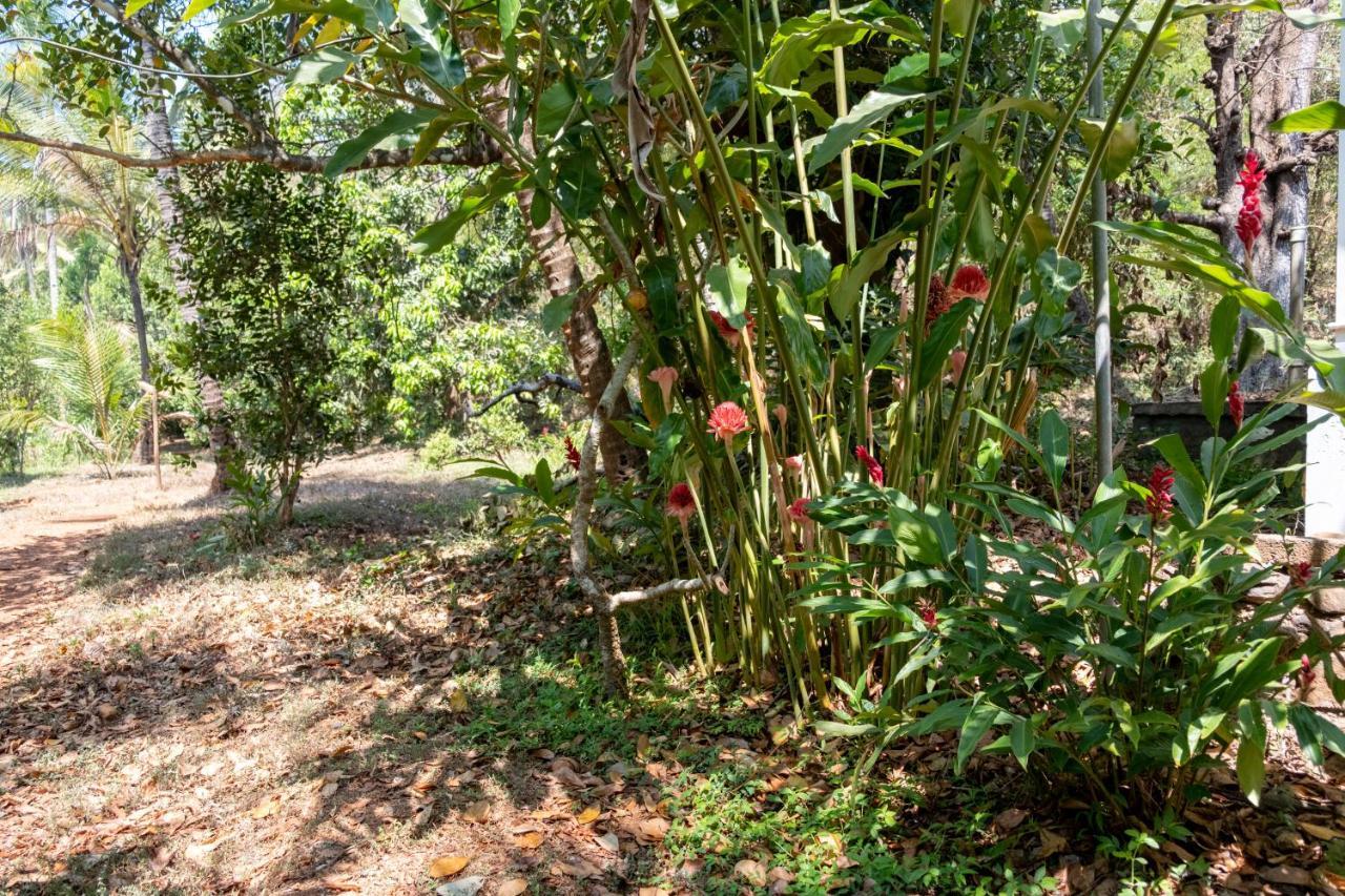 Mangaal Farmstay Goa Vichondrem Ngoại thất bức ảnh