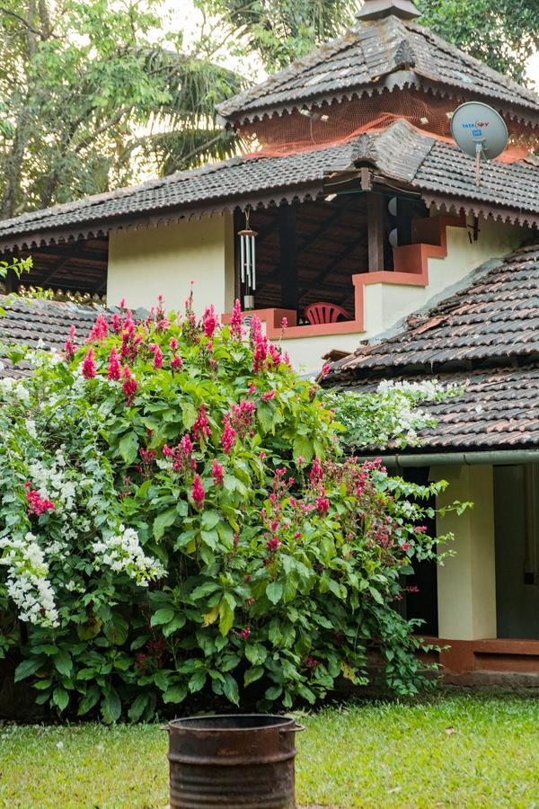 Mangaal Farmstay Goa Vichondrem Ngoại thất bức ảnh