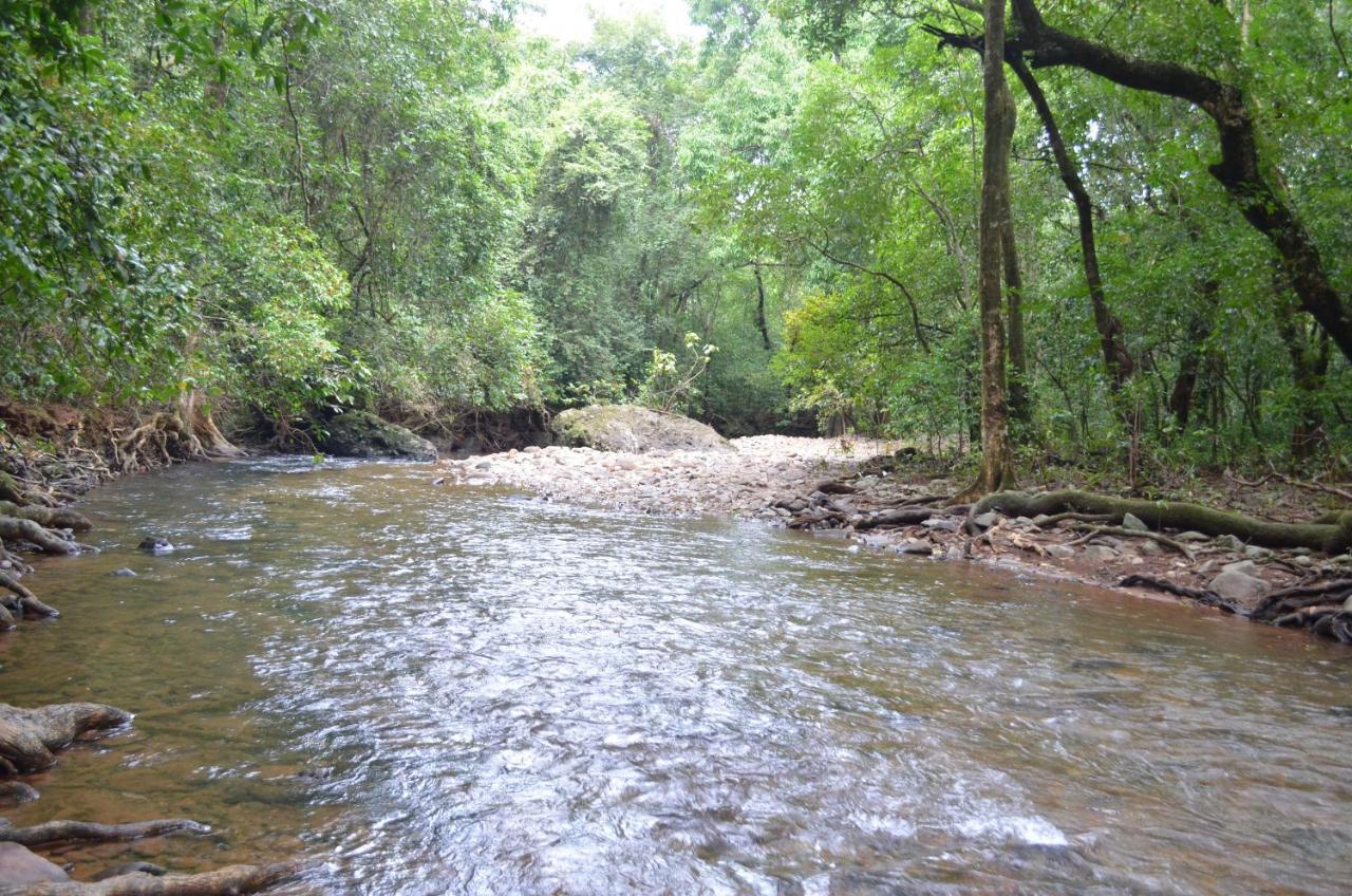 Mangaal Farmstay Goa Vichondrem Ngoại thất bức ảnh