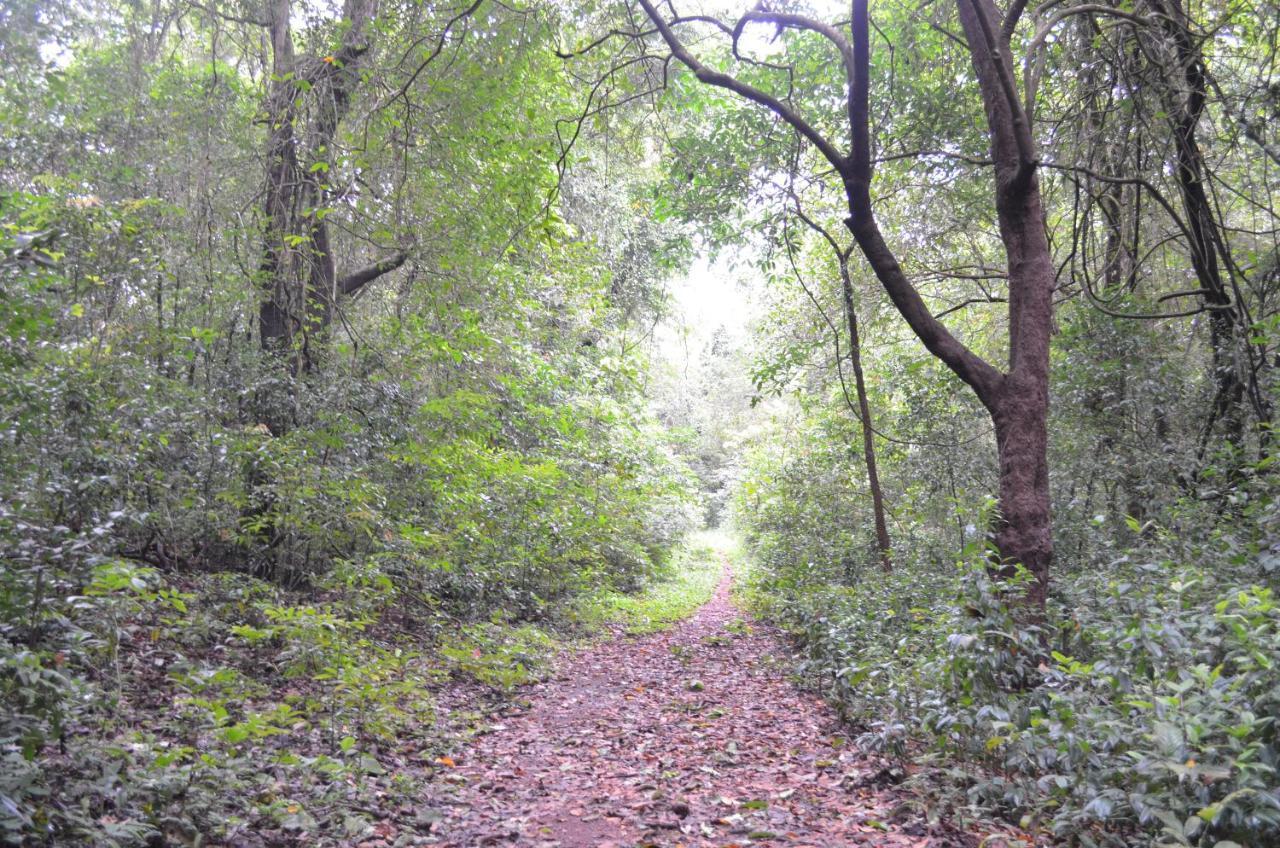 Mangaal Farmstay Goa Vichondrem Ngoại thất bức ảnh