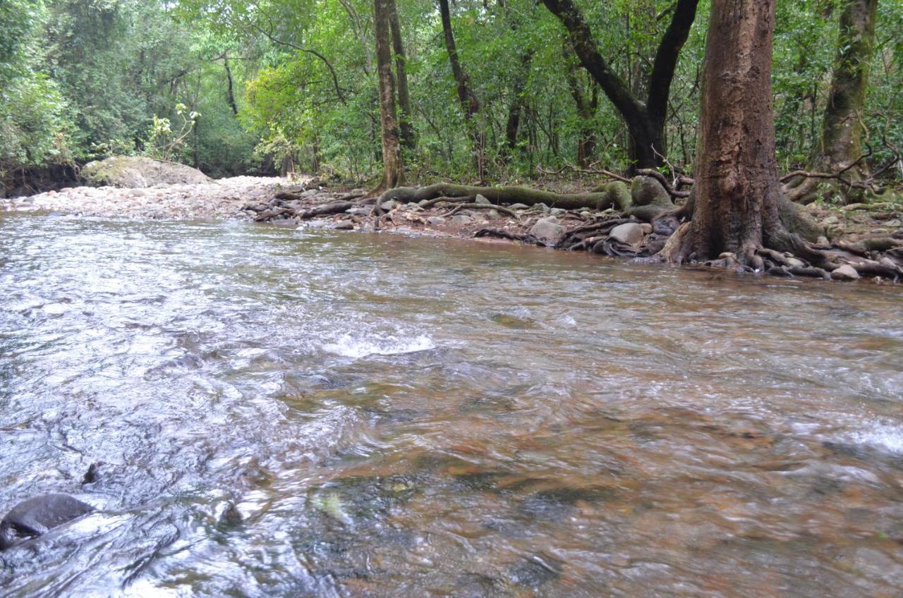 Mangaal Farmstay Goa Vichondrem Ngoại thất bức ảnh